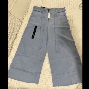 NEW Banana Republic Wide Legged Blue Cropped Pants